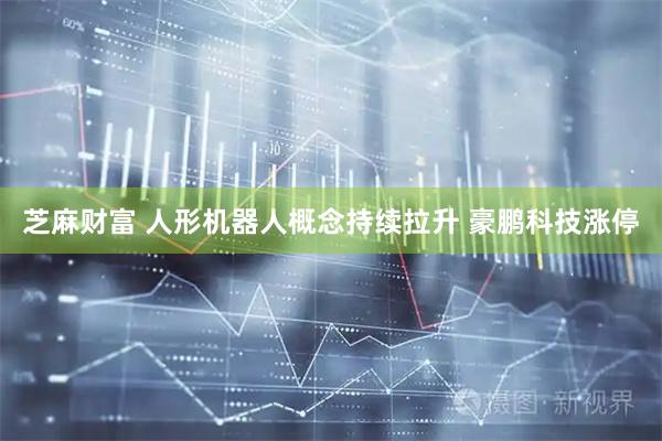 芝麻财富 人形机器人概念持续拉升 豪鹏科技涨停