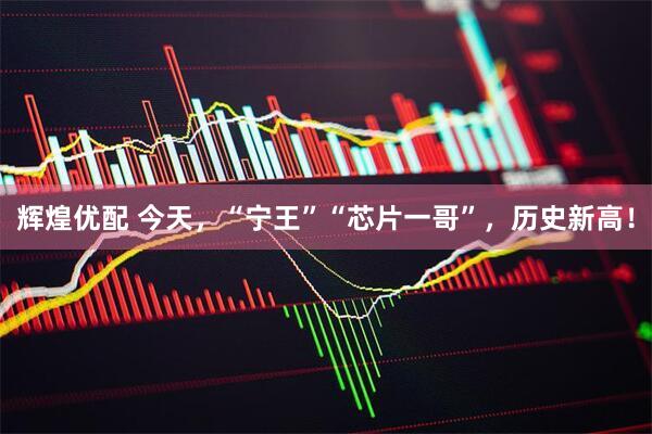 辉煌优配 今天，“宁王”“芯片一哥”，历史新高！