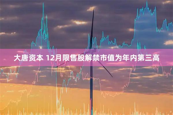大唐资本 12月限售股解禁市值为年内第三高