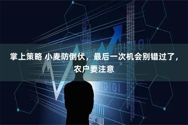 掌上策略 小麦防倒伏，最后一次机会别错过了，农户要注意