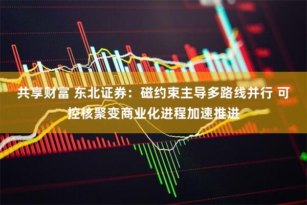 共享财富 东北证券：磁约束主导多路线并行 可控核聚变商业化进程加速推进